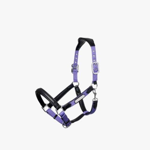 Crowned in Grace — Horse Halter and Lead Rope Set